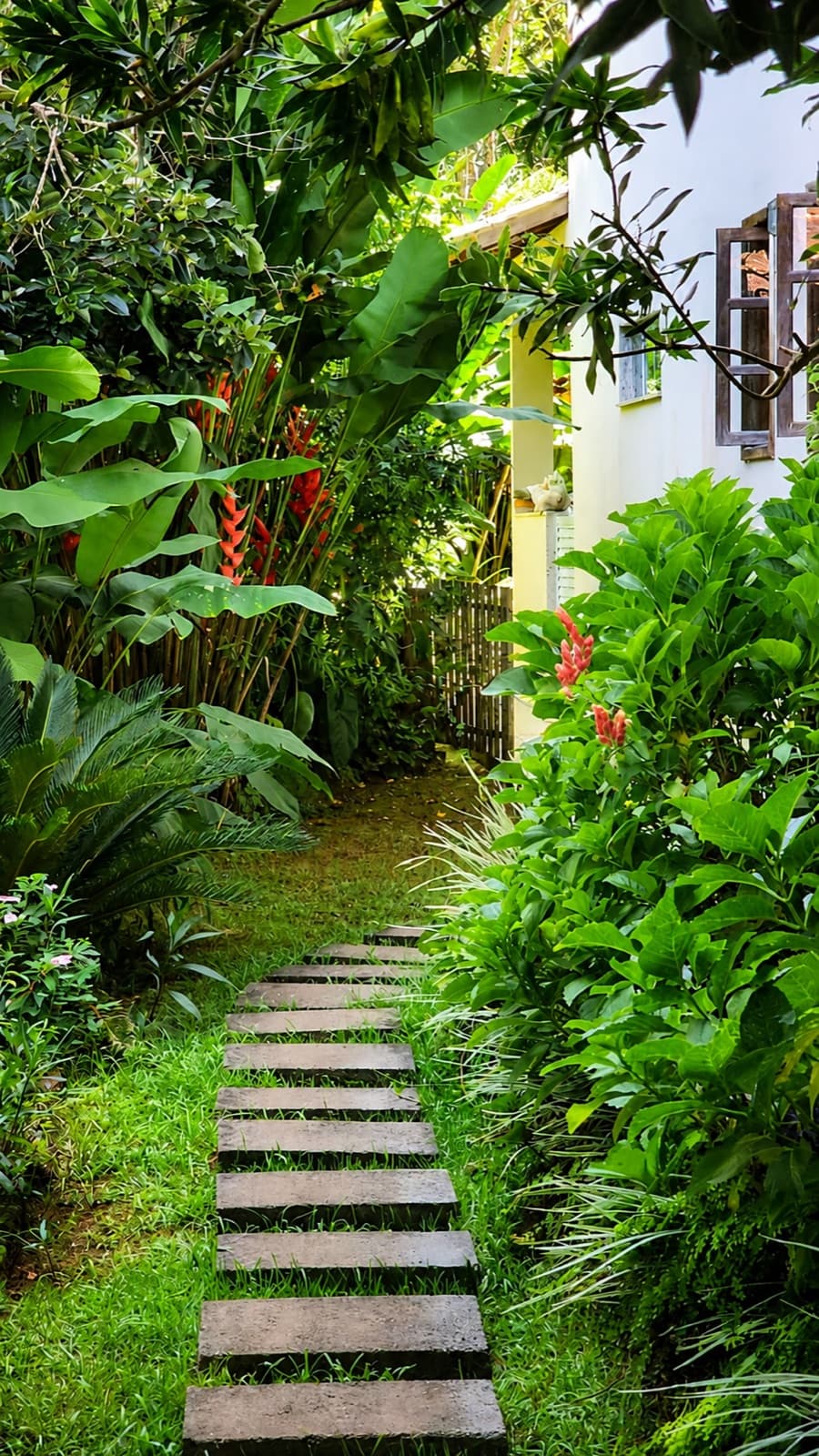Caminho de pedras entre a vegetação até a ala dos quartos